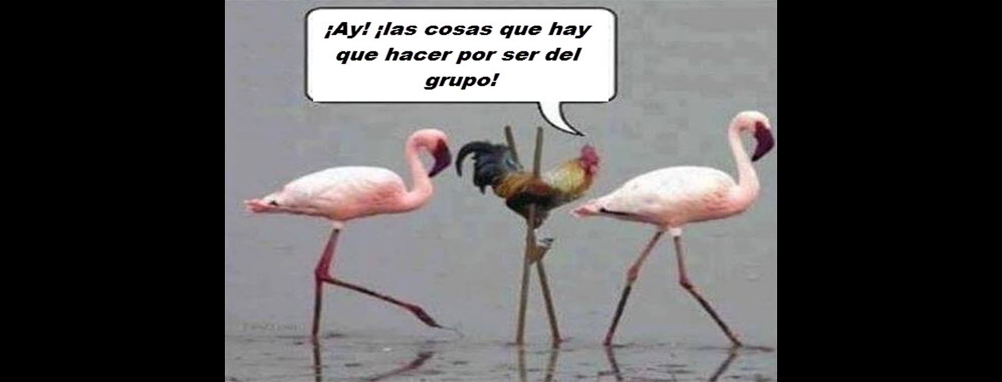 que-no-me-presionen